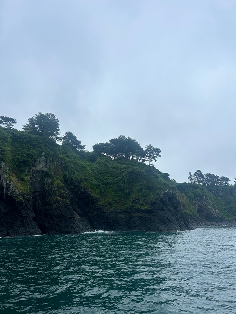 KakaoTalk_20250502_182005095_04