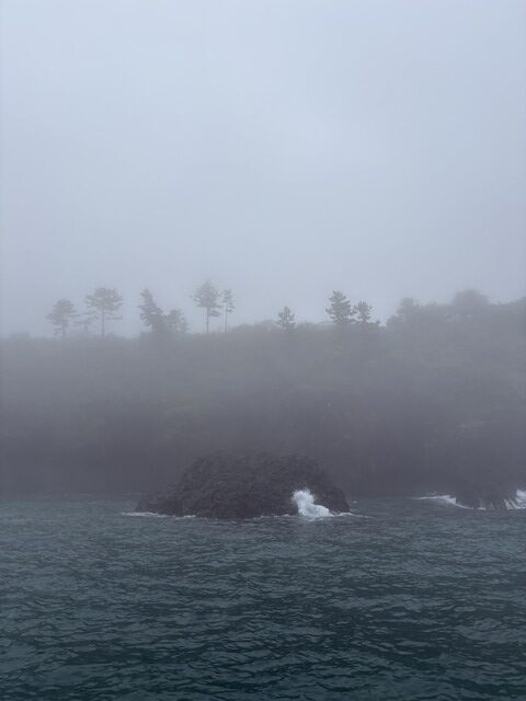 KakaoTalk_20250502_182005095_09