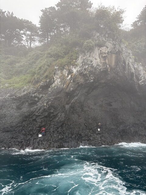 KakaoTalk_20250502_182005095_12